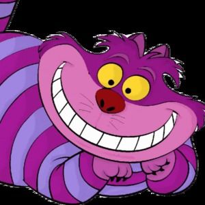 Meet your Posher, Nina